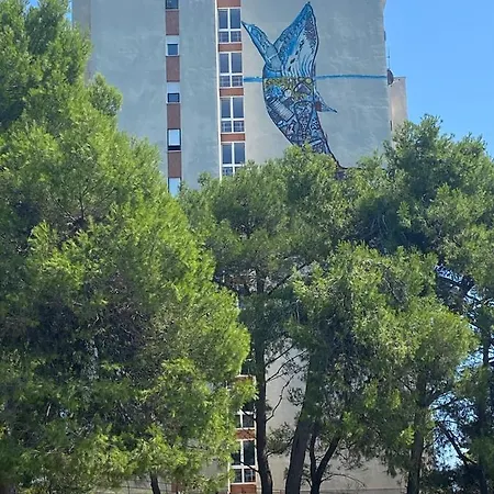 Apartman Vita Apartment Pula